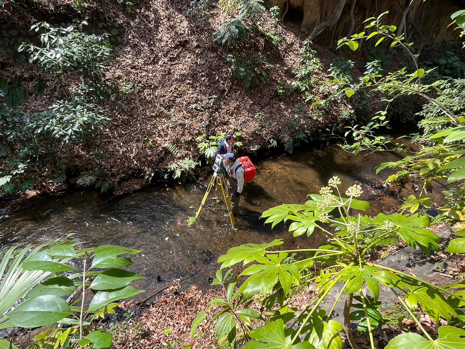 山道で測量をしている社員の風景